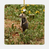 Adorable Prairie Dog Keramisch Ornament (Achterkant)