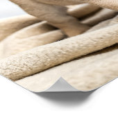 Adorable pug puppy poster (Hoek)