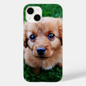 Adorable Puppy Cute Photo  Case-Mate iPhone Case (Achterkant)