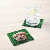 Adorable Puppy Photo Kartonnen Onderzetters (Insitu)