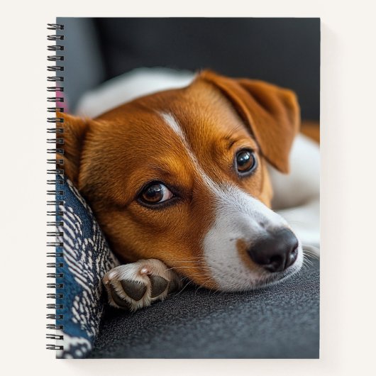 Adorable Resting Dog Notebook Notitieboek (Voorkant)