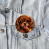 Adorable Ruby Cavalier Spaniel Ronde Button 7,6 Cm (In situ)