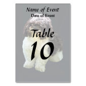 Adorable Shih Tzu Puppy Kaart (Achterkant)