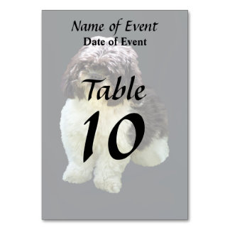 Adorable Shih Tzu Puppy Kaart