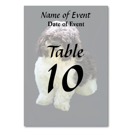 Adorable Shih Tzu Puppy Kaart (Voorkant)