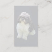 Adorable Shih Tzu Puppy Visitekaartje (Achterkant)