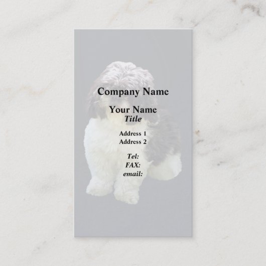 Adorable Shih Tzu Puppy Visitekaartje (Voorkant)