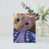 Adorable Sleepy Ginger Kitty Briefkaart (Staand voorkant)