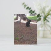 adorable stray black kitty briefkaart (Staand voorkant)
