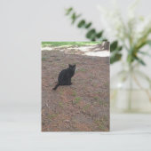 adorable stray black kitty briefkaart (Staand voorkant)