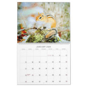 Adorable Striped Chipmunks Wildlife Watercolor Art Kalender (Jan 2026)