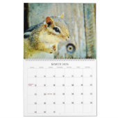 Adorable Striped Chipmunks Wildlife Watercolor Art Kalender (Mar 2026)