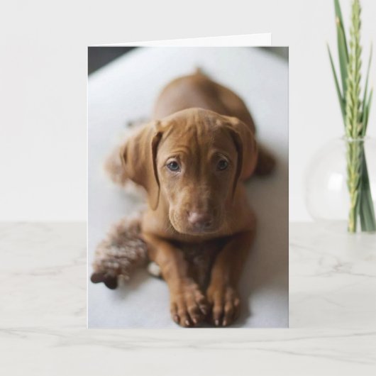 Adorable Vizsla Puppy Dog Birthday Card Kaart (Voorkant)