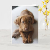 Adorable Vizsla Puppy Dog Birthday Card Kaart (Gele Bloem)