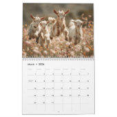 Adorable Wildlife Photography | Baby Animals Wall Kalender (Mar 2026)