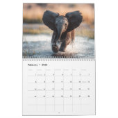 Adorable Wildlife Photography | Baby Animals Wall Kalender (Feb 2026)
