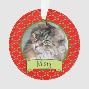 Adoranle Kitty Cat Foto en naam Ornament