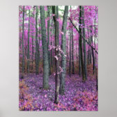 Adornment Poster (Voorkant)