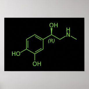 Adrenaline Molecuul Chemisch Diagram Poster