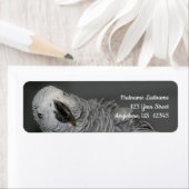 Adres Afrikaanse grijze papegaai Etiket (Insitu)