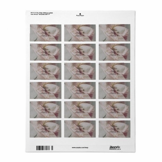 Adres "Antiek Roos" Etiket (Full Sheet)