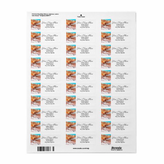 Adres Arizona Desert Return Etiket (Full Sheet)