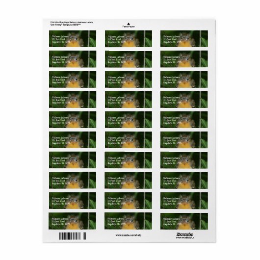 Adres baby Oriole Fledgling Bird Etiket (Full Sheet)