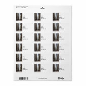 Adres Chicago Madison Street Label (Full Sheet)