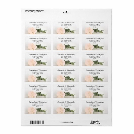 Adres Elegant Peach Roos Wedding Etiket (Full Sheet)