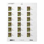 Adres Hodgson Spring Etiket (Full Sheet)