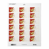 Adres kerstcadeaulabel etiket (Full Sheet)