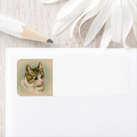 Adres kitten label (Insitu)