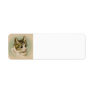 Adres kitten label