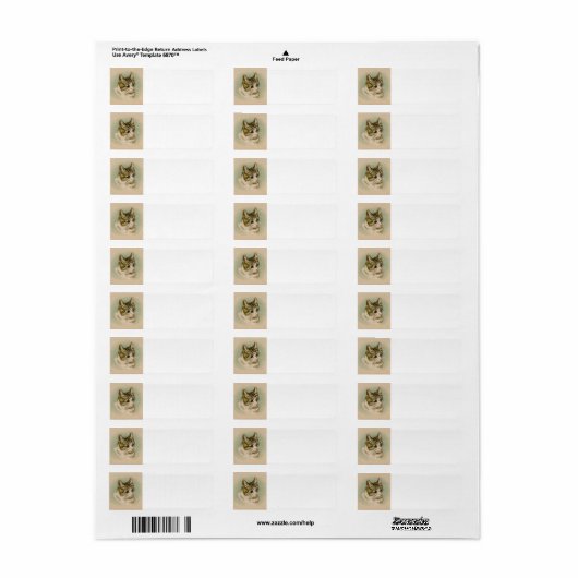 Adres kitten label (Full Sheet)