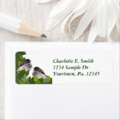 Adres label Junco (Insitu)