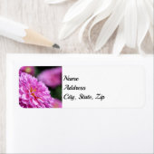 Adres Paarse Summer Dahlia Etiket (Insitu)