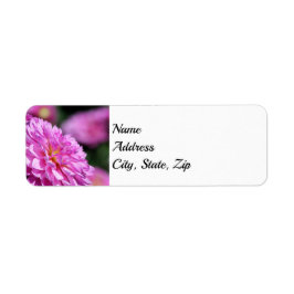 Adres Paarse Summer Dahlia Etiket