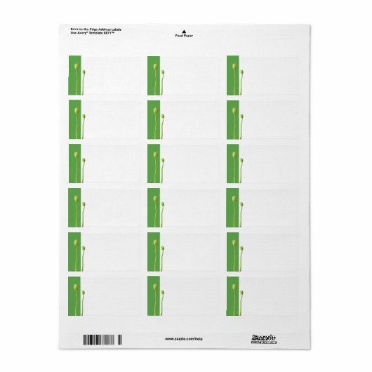 Adres rood papaver etiket (Full Sheet)