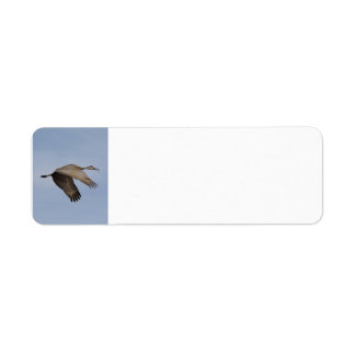 Adres Sandhill Crane Etiket