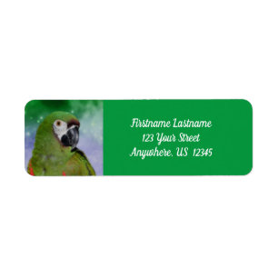 Adres Severe Macaw Parrot Bird Etiket