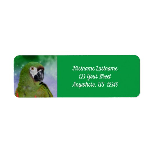 Adres Severe Macaw Parrot Bird Etiket (Voorkant)