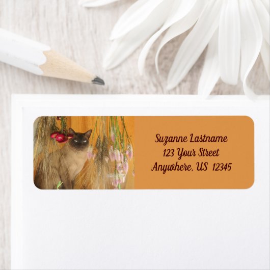 Adres Siamese Cat Posing Animal Etiket (Insitu)