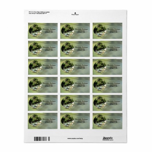 Adres South 0365 Etiket (Full Sheet)