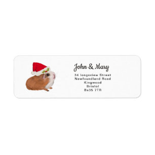 Adres sticker kerstcavia