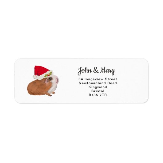 Adres sticker kerstcavia (Voorkant)