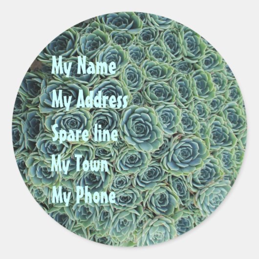 Adres Sticker met Cactus Flowers (Voorkant)