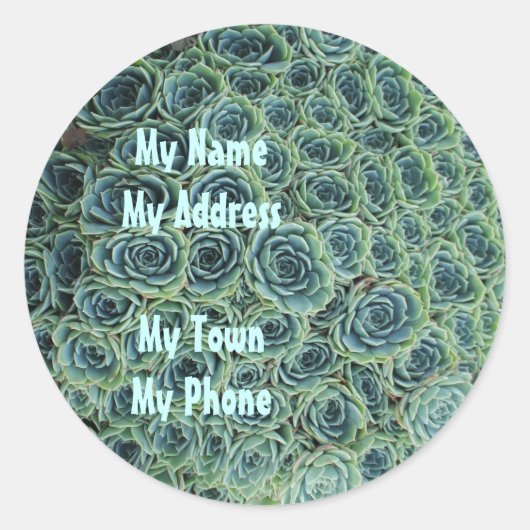 Adres Sticker met Cactus Flowers (Voorkant)