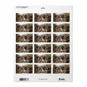 Adres Thanksgiving Label (Full Sheet)
