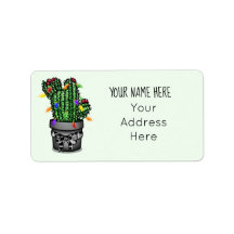 Adres Vakantiecactus