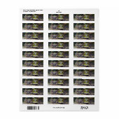 Adres van bulkfrog voor glimlachen etiket (Full Sheet)